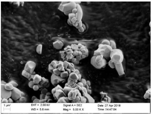 Lithium ion battery cathode material and preparation method thereof and lithium ion battery