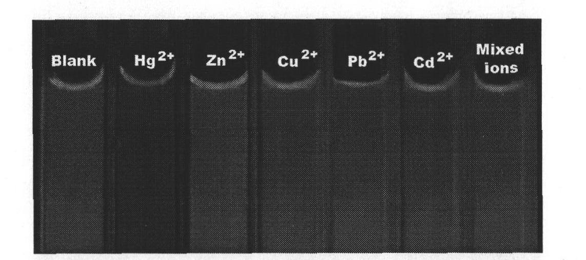 Analytical method for detecting trace mercury in aqueous medium based on the color change of fluorescence