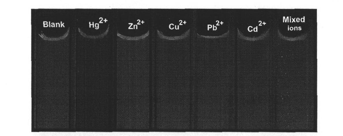 Analytical method for detecting trace mercury in aqueous medium based on the color change of fluorescence