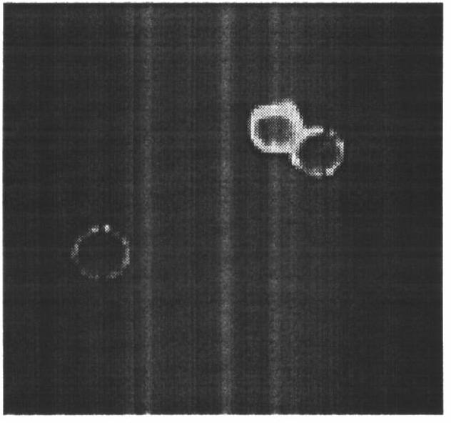 hpv58 type e6/e7 fusion gene and therapeutic compound gene vaccine