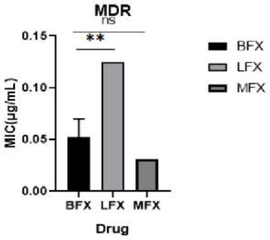 Application of besifloxacin in preparation of medicine for treating tuberculosis