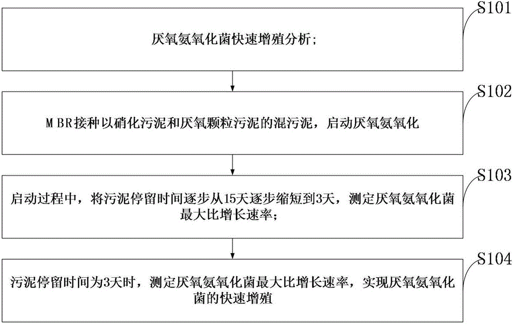 Method for realizing rapid proliferation of anaerobic ammonium oxidation bacteria