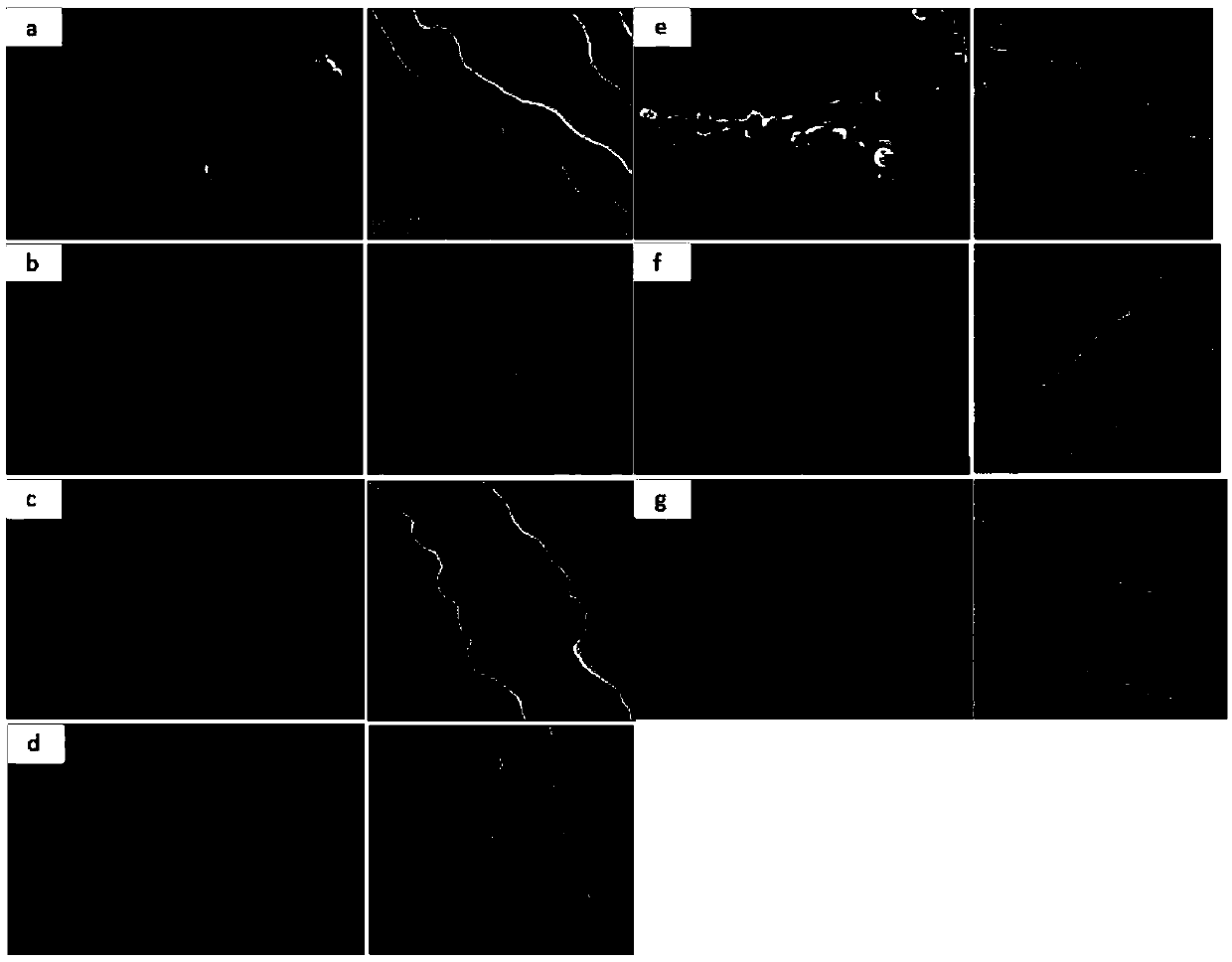 Carbon fiber-coated manganese oxide-carbon composite material with egg yolk shell structure as well as preparation method and application thereof