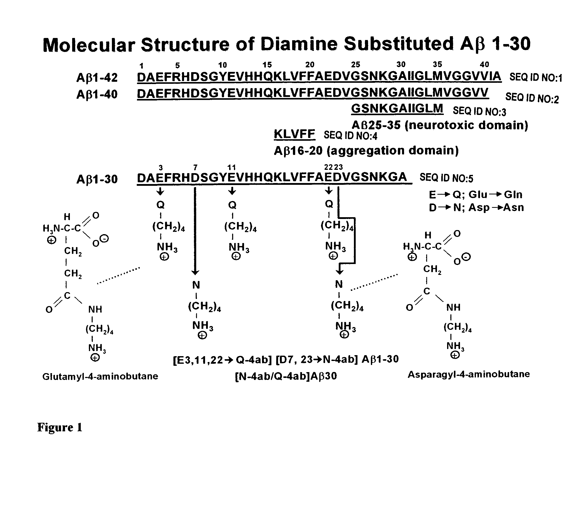 Amino acid composition with increased blood brain barrier permeability