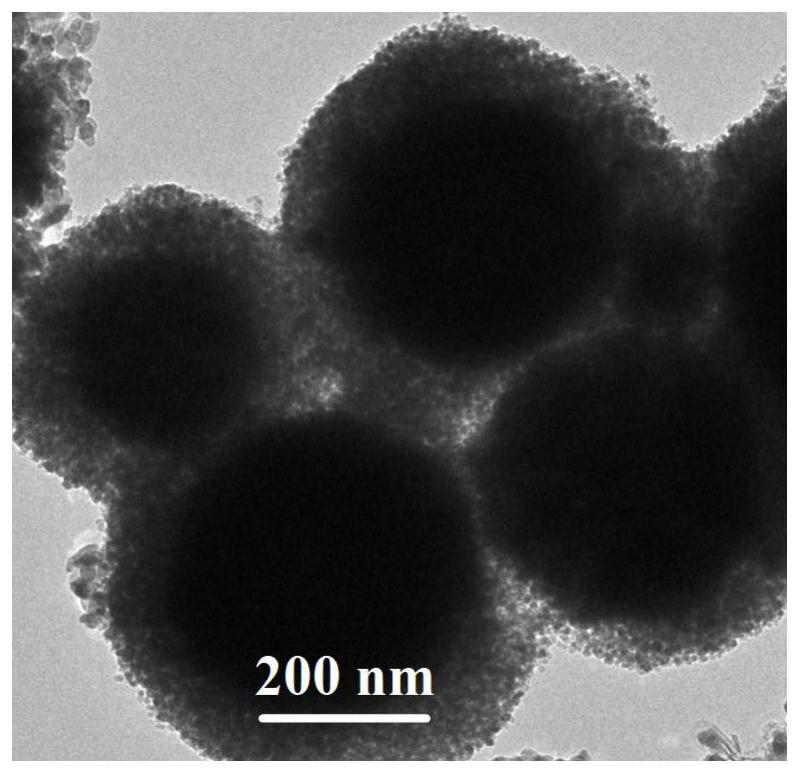 Magnetic core-shell hydrogenation catalyst and method for preparing 2, 2, 4, 4-tetramethyl-1,3-cyclobutanediol