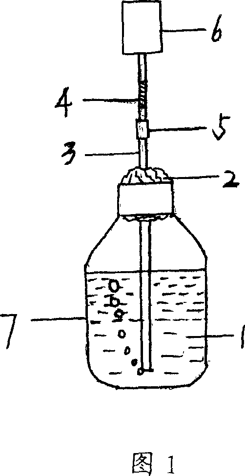 Formulation of aweto culture medium and oxygenating culture method of aweto