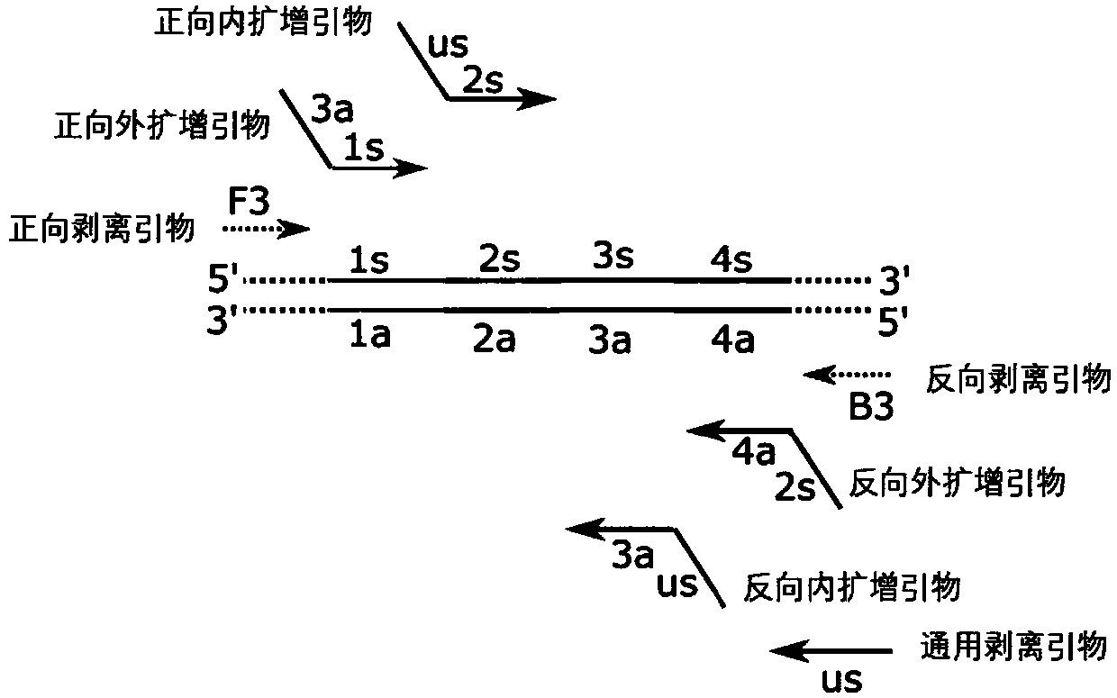 Programmatic isothermal nucleic acid amplification method and applications of kits of isothermal nucleic acid amplification method