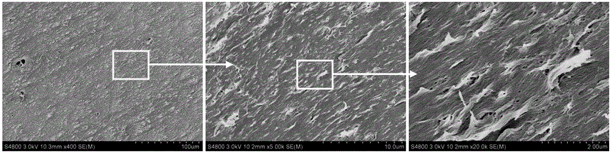 Nano-fibrosis silk fibroin gel and preparation method thereof