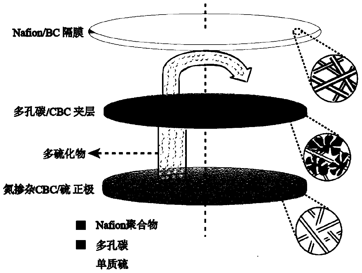 A battery positive electrode based on nitrogen-doped carbonized bacterial cellulose, lithium-sulfur battery and preparation method thereof