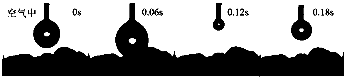 Antifouling modified walnut shell filter material as well as preparation method and application thereof