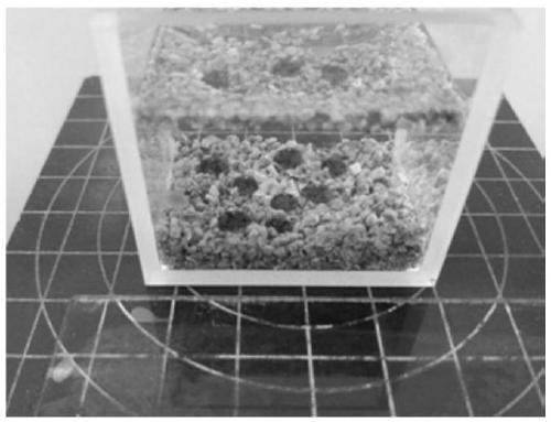 Antifouling modified walnut shell filter material as well as preparation method and application thereof