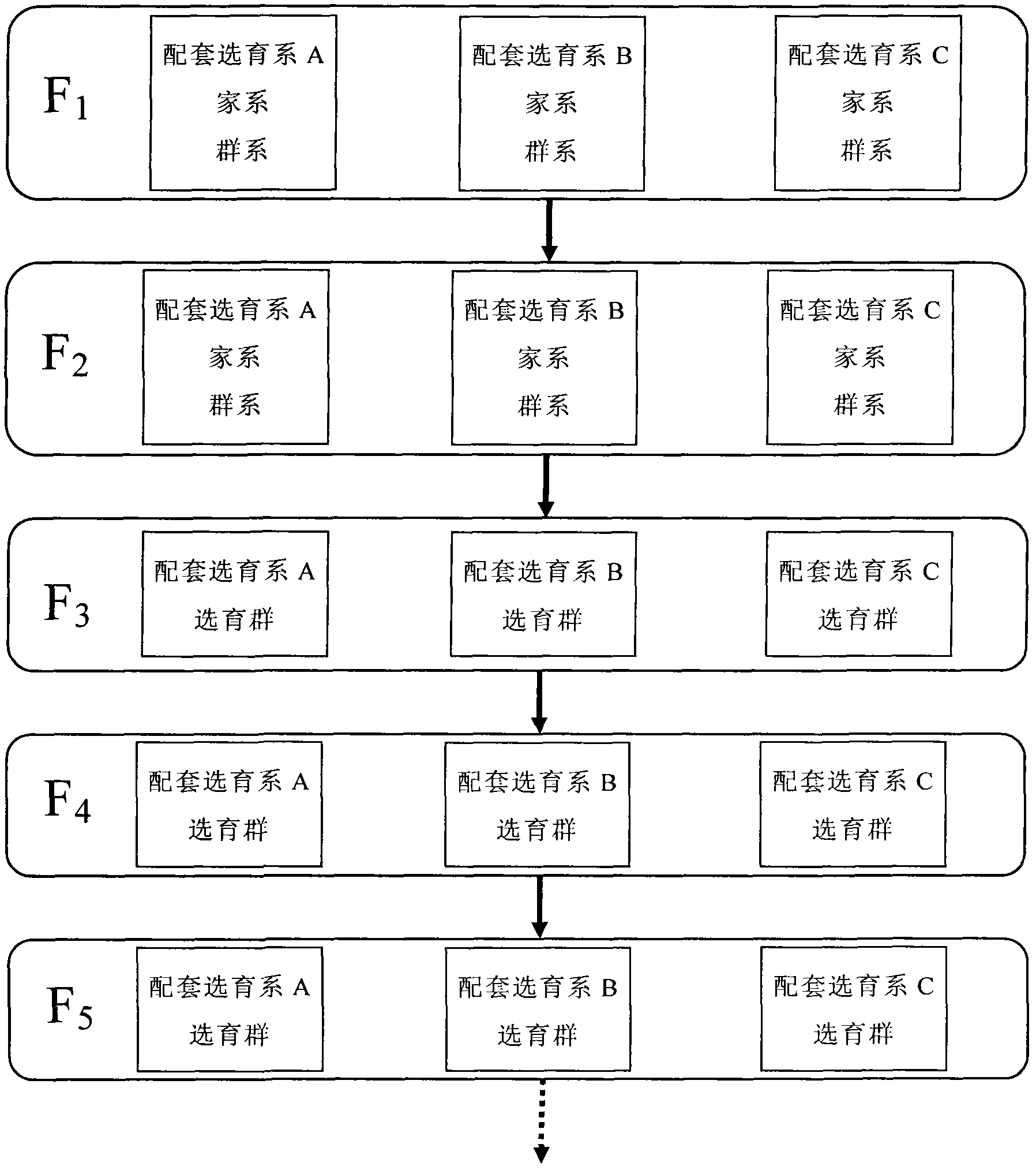 Method for establishing and breeding three matched breeding systems of Eriocheir sinensis