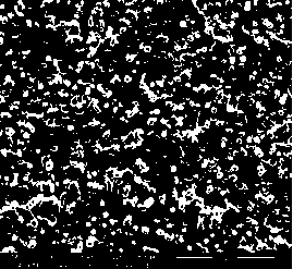 Polylactic acid/polyethylene glycol terephthalate-1, 4-cyclohexanedimethanol blend and preparation method thereof