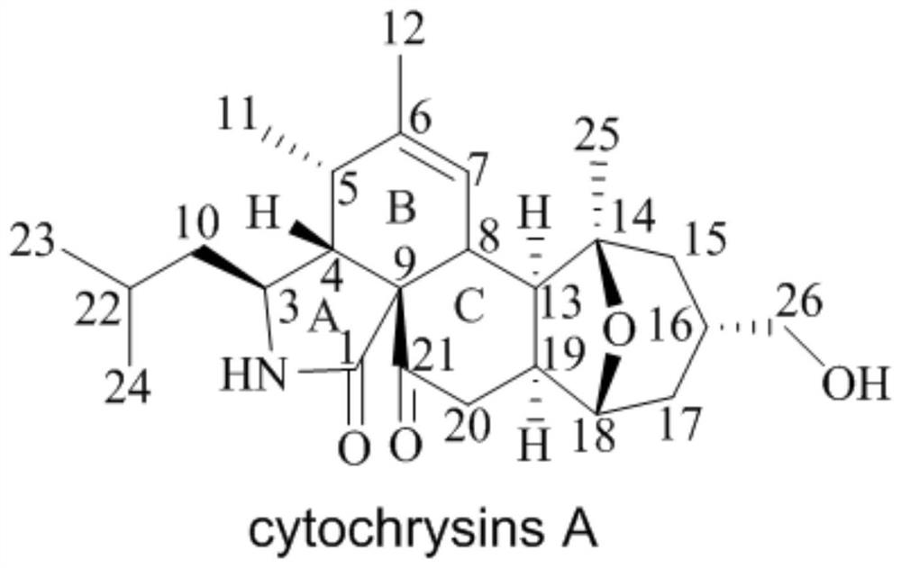 Novel cytochalasin compound with function of antagonizing clinical drug-resistant bacteria and preparation method of novel cytochalasin compound