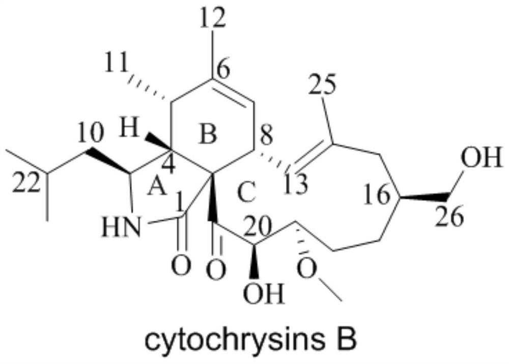 Novel cytochalasin compound with function of antagonizing clinical drug-resistant bacteria and preparation method of novel cytochalasin compound