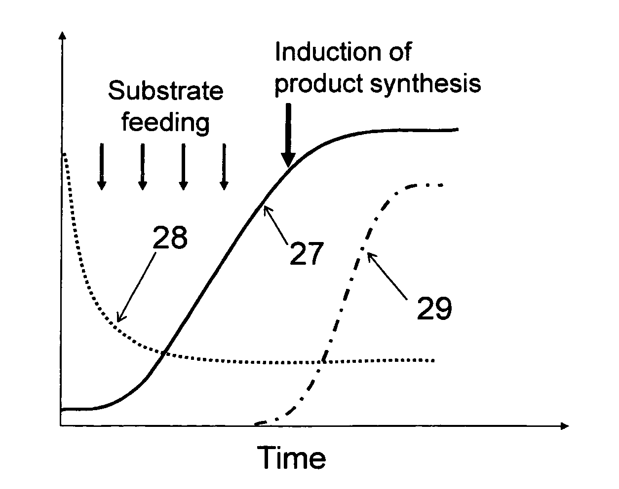 Bio-process model predictions from optical loss measurements