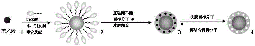 A ps@sio for the detection of paraquat molecules  <sub>2</sub> Preparation method of artificial antibody