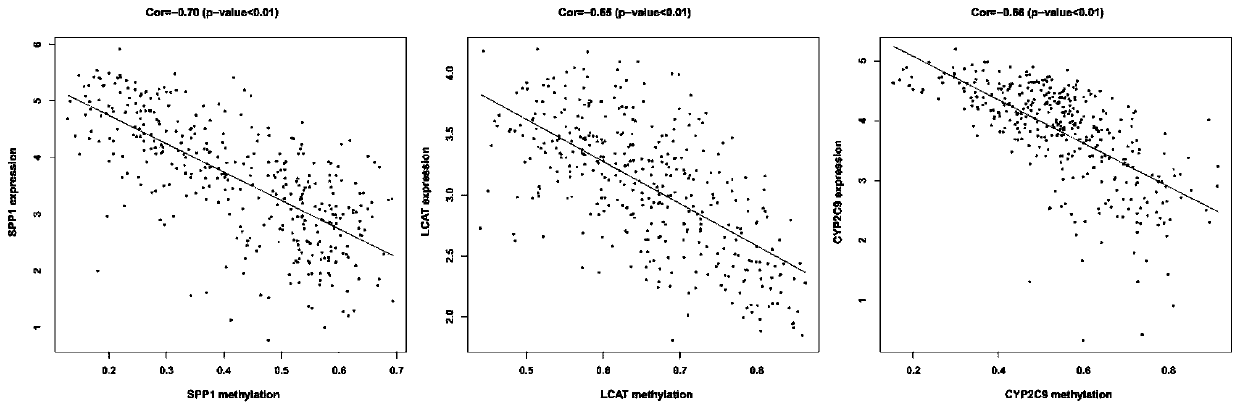 Construction method of unified diagnosis-prognosis-recurrence model for patients with hepatocellular carcinoma