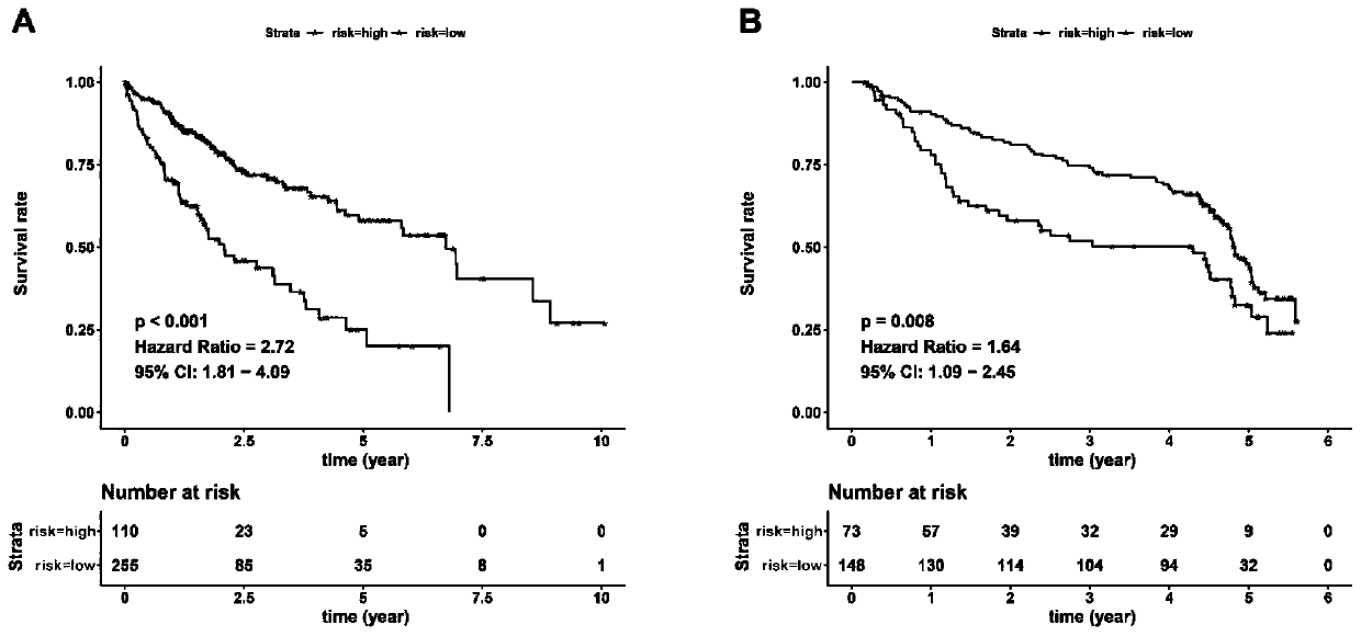 Construction method of unified diagnosis-prognosis-recurrence model for patients with hepatocellular carcinoma