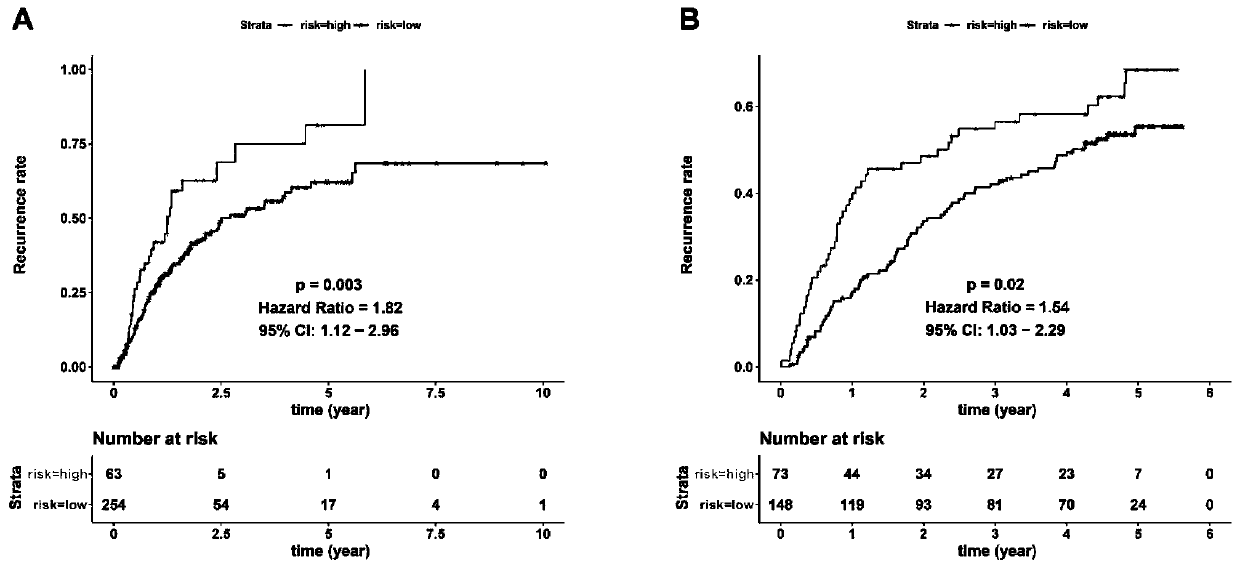 Construction method of unified diagnosis-prognosis-recurrence model for patients with hepatocellular carcinoma