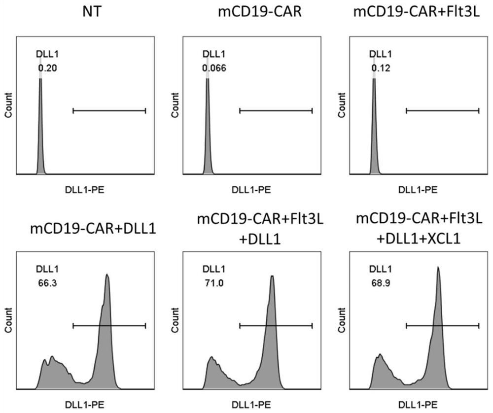 Engineered immune cells and uses thereof