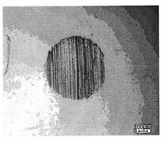 Double-bond saturation isomerism etherifying process for improving oxidation resistance and pouring point of plant oil