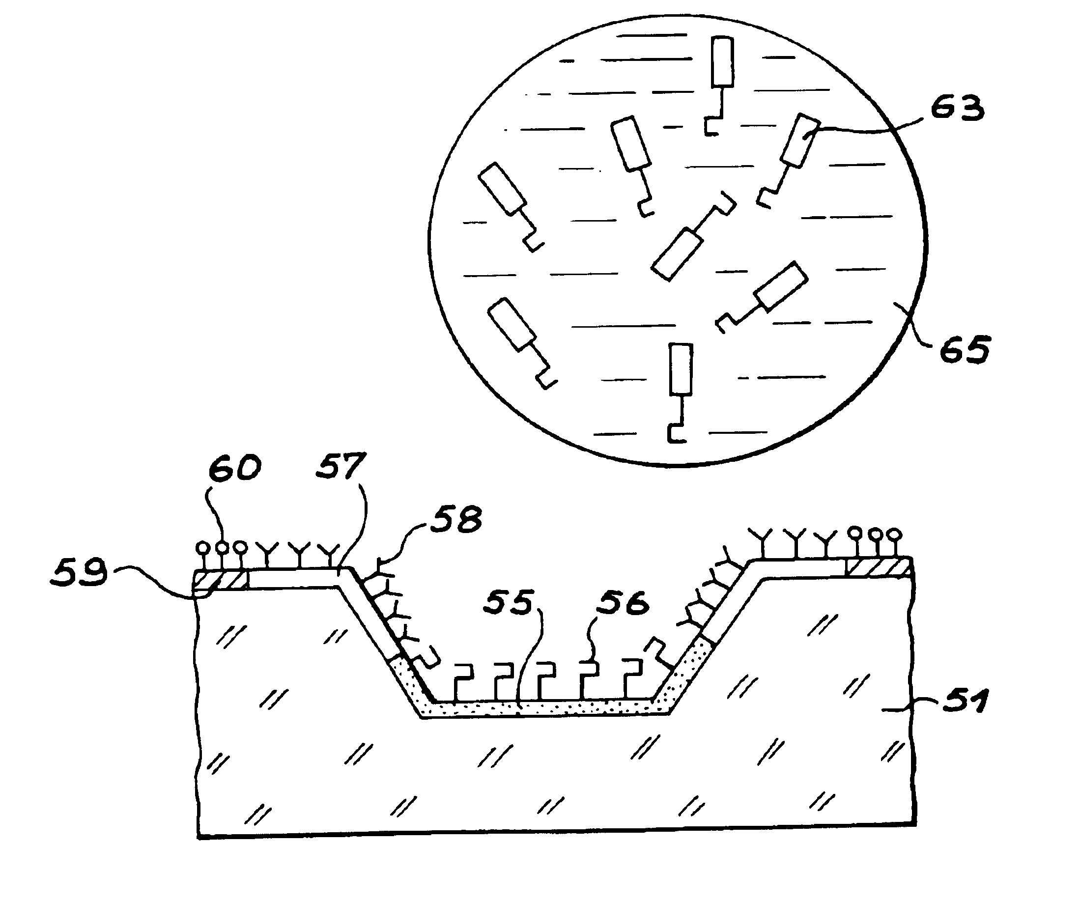 Device comprising a plurality of analysis sites on a support