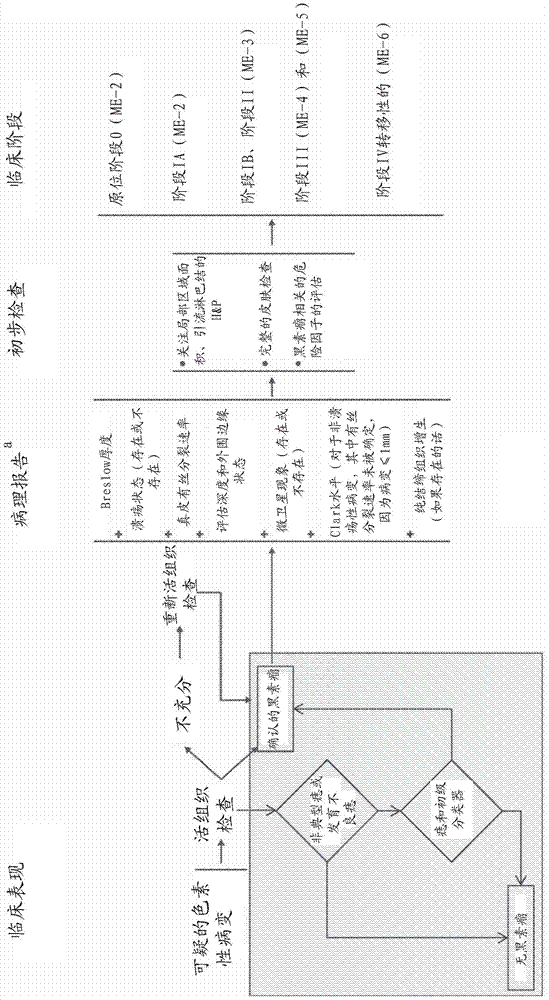 Molecular malignancy in melanocytic lesions