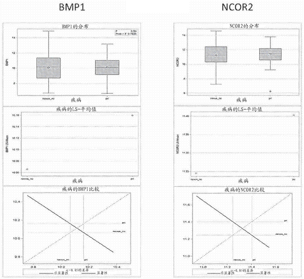 Molecular malignancy in melanocytic lesions