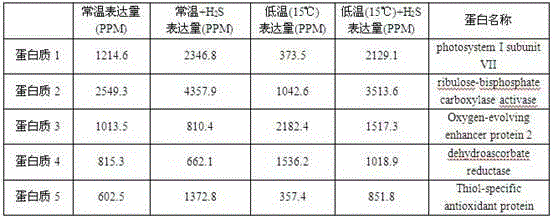 Application of hydrogen sulfide and hydrogen sulfide donor in preparation of rice seed induction cold-resistant sprout-promoting fertilizer