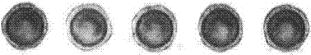 Copper alloy wire for ball bonding