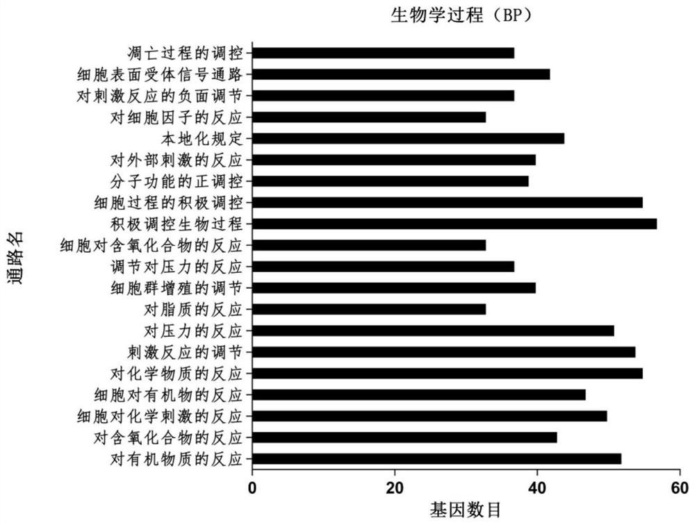 Medicine for resisting inflammation, easing pain and stopping bleeding and medicine active component screening method