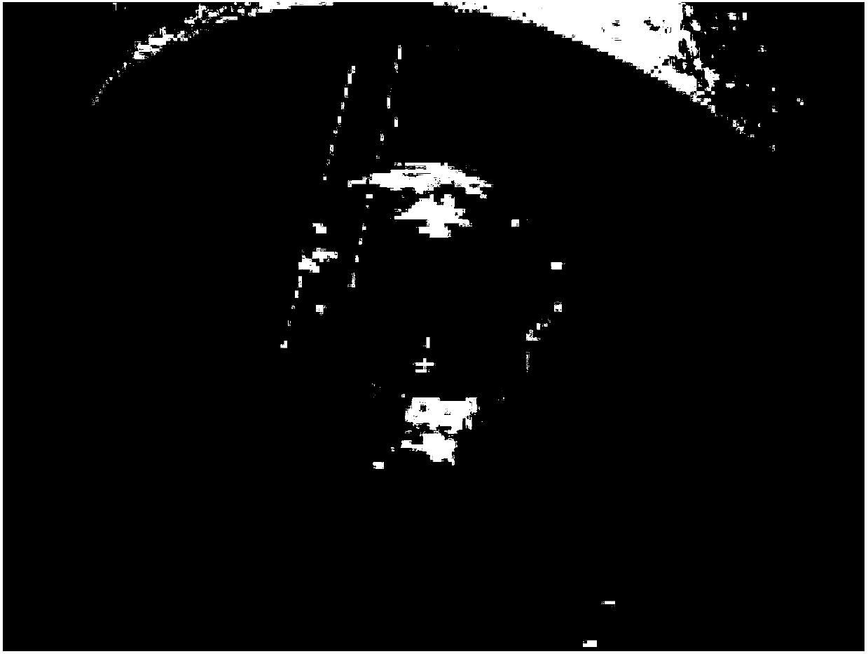 A monocular visual tracking method based on uuv underwater recovery