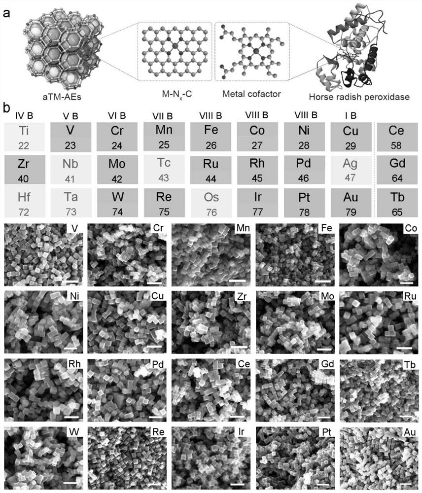 Transition metal monatomic nano-enzyme as well as preparation method and application thereof