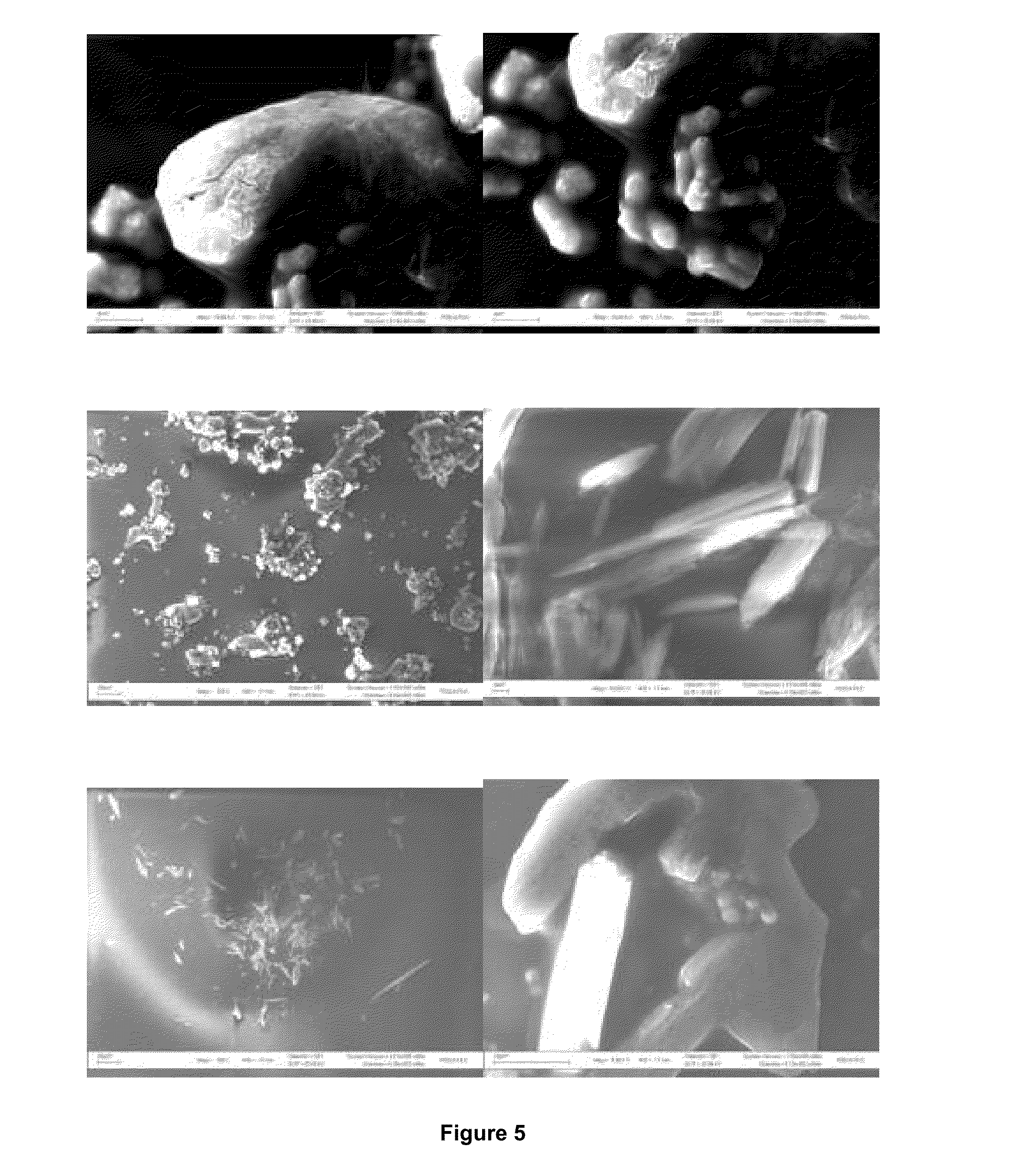 Biocementation of particulate material in suspension