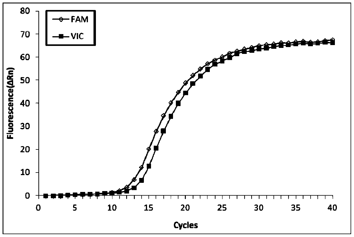 A kind of glucocerebrosidase gene detection kit and its detection method