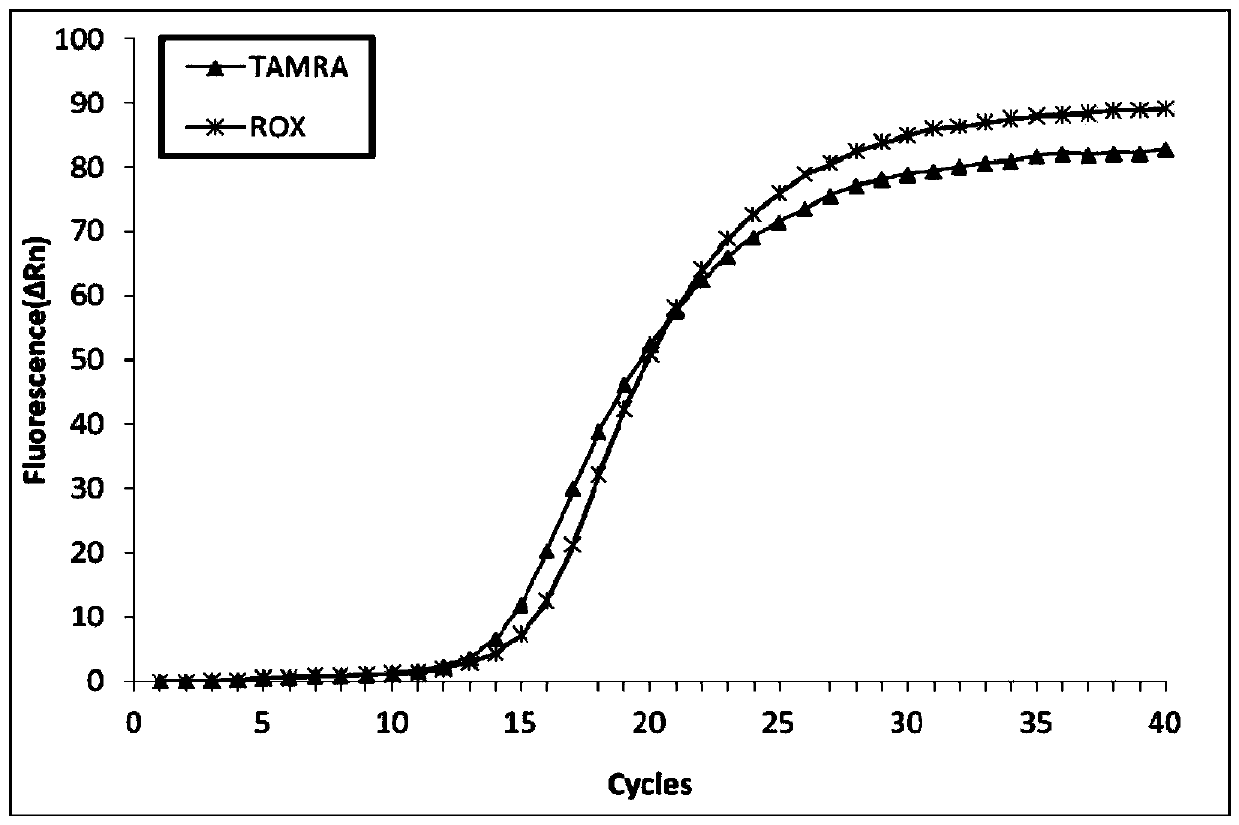 A kind of glucocerebrosidase gene detection kit and its detection method