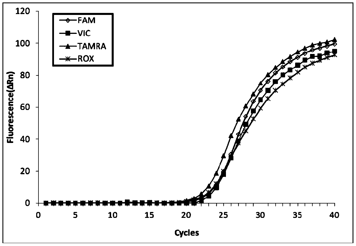 A kind of glucocerebrosidase gene detection kit and its detection method