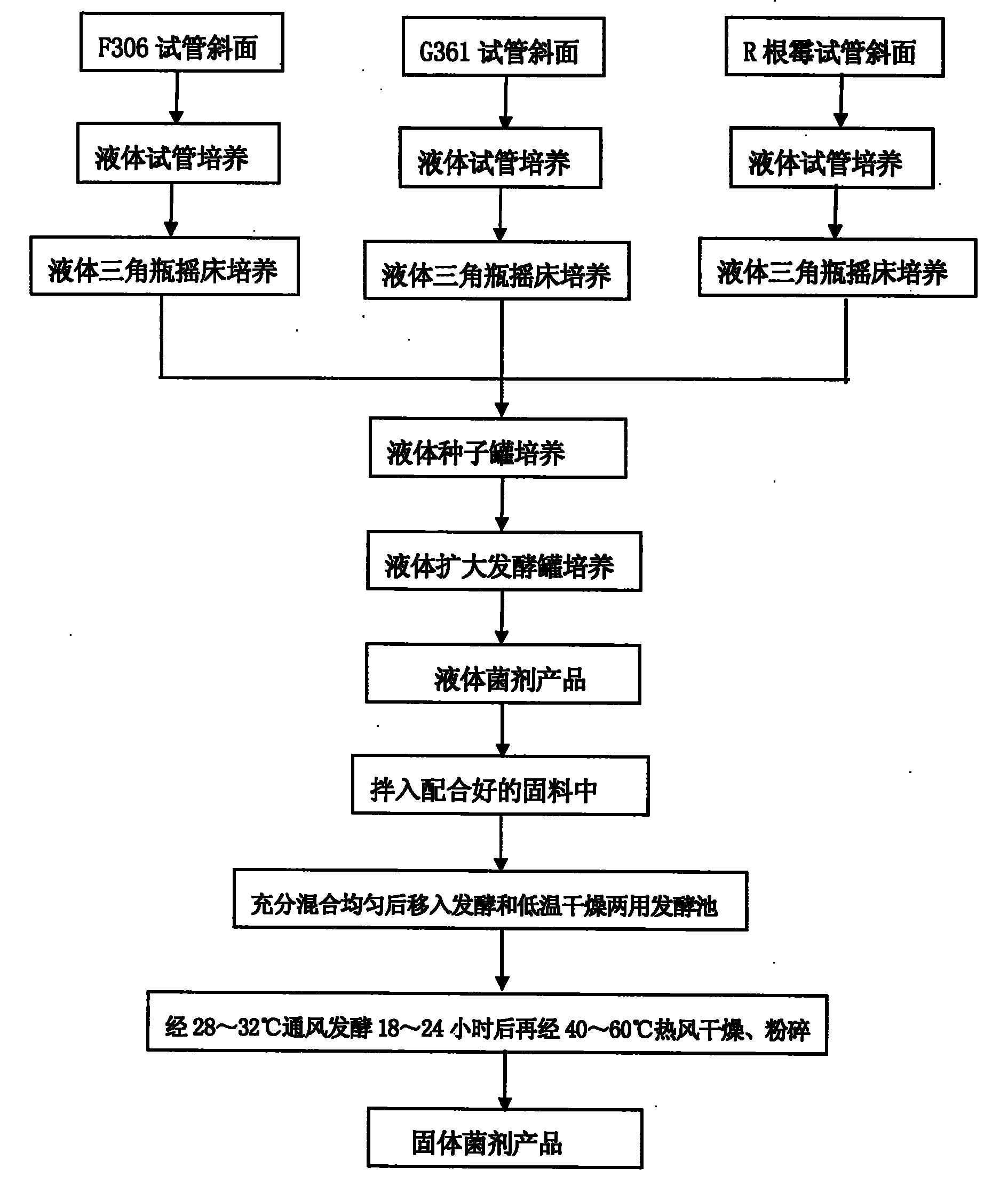 Microbial solid inocula, and preparation and use thereof