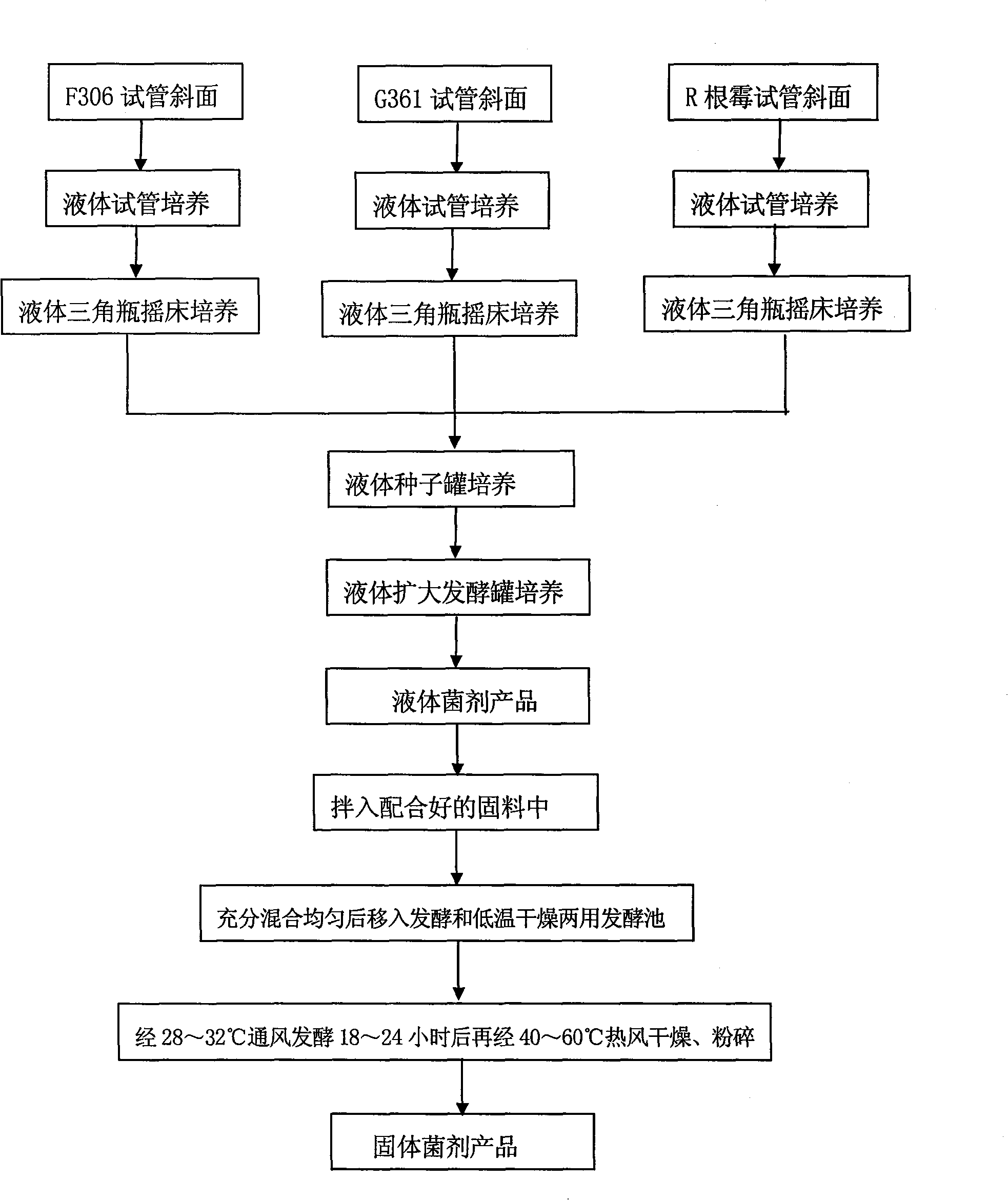 Microbial solid inocula, and preparation and use thereof