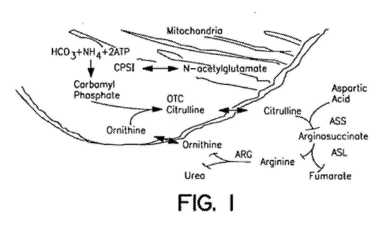 Therapeutic methods employing nitric oxide precursors