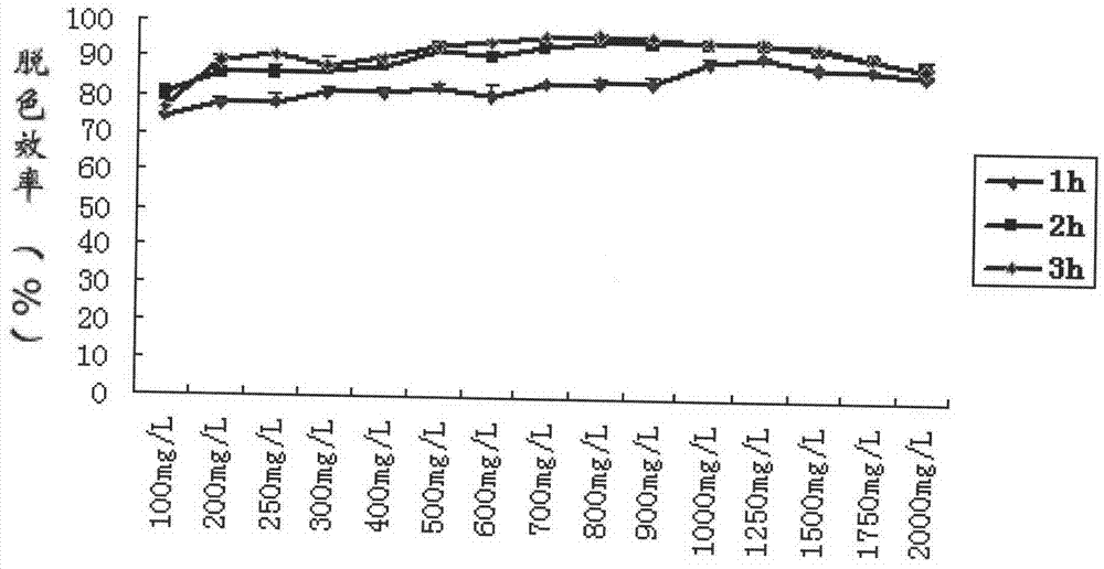 Achromobacter xylosoxidans MG1 strain and application thereof