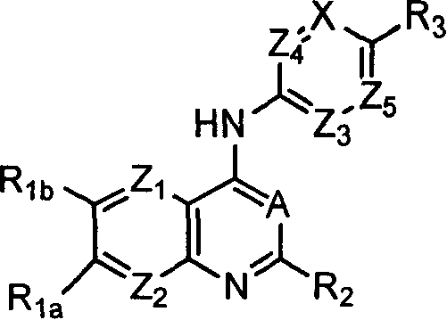 Capsaicin receptor agonists