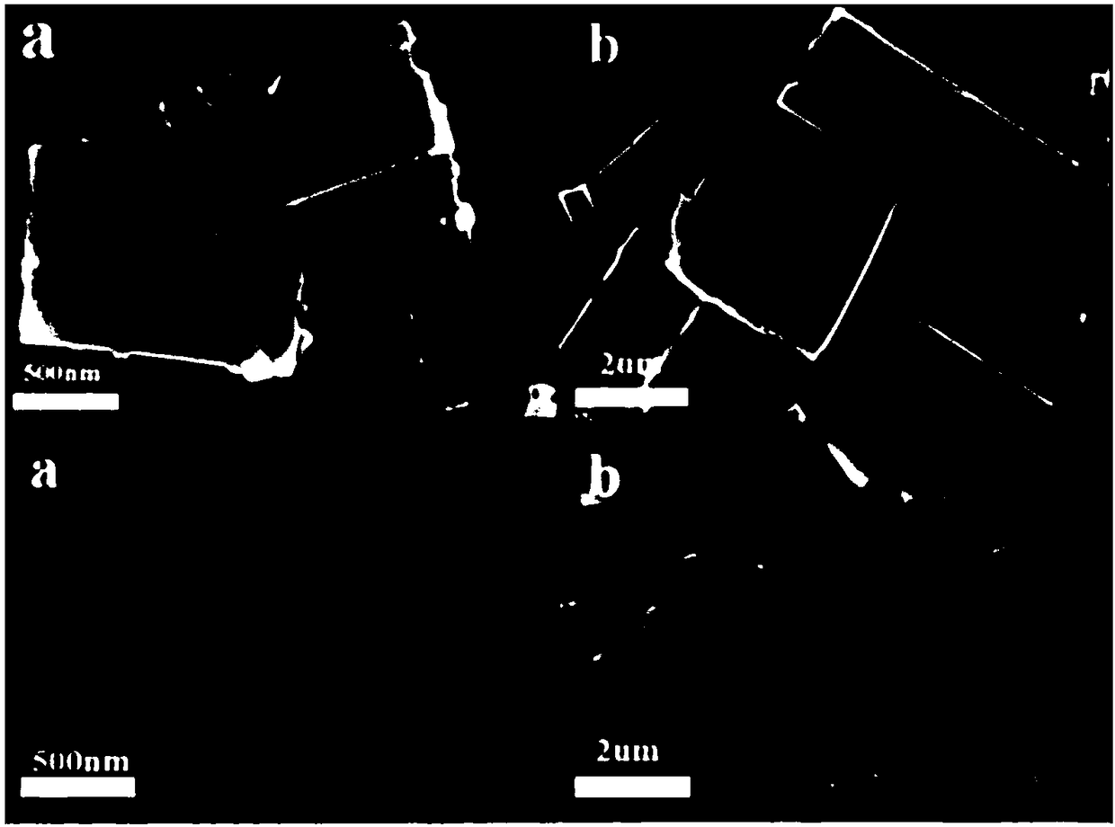 Method for preparing two-dimensional sheet-shaped Cu-MOF (Metal Organic Framework) material