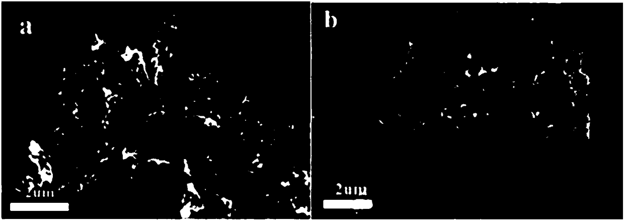 Method for preparing two-dimensional sheet-shaped Cu-MOF (Metal Organic Framework) material