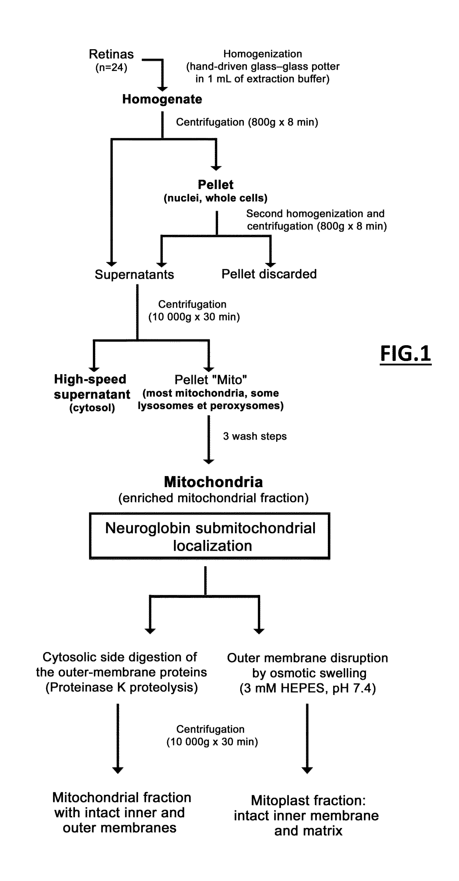 Use of neuroglobin agonist for preventing or treating mitochondrial RCCI and/or RCCIII deficiency disease