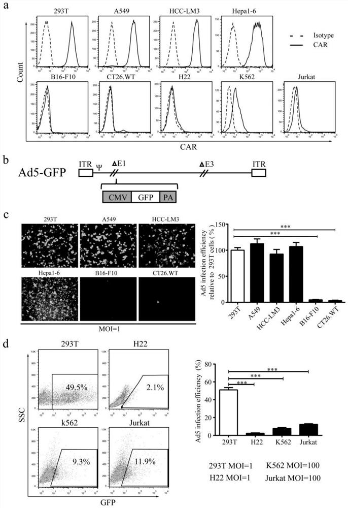 Method for preparing novel oncolytic virus EM/VSV-G Ad5sPVRCD137L