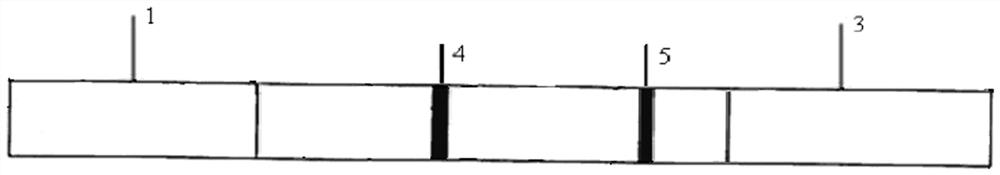 Fluorescent microsphere immunochromatographic test strip for detecting metalaxyl and its preparation method and application