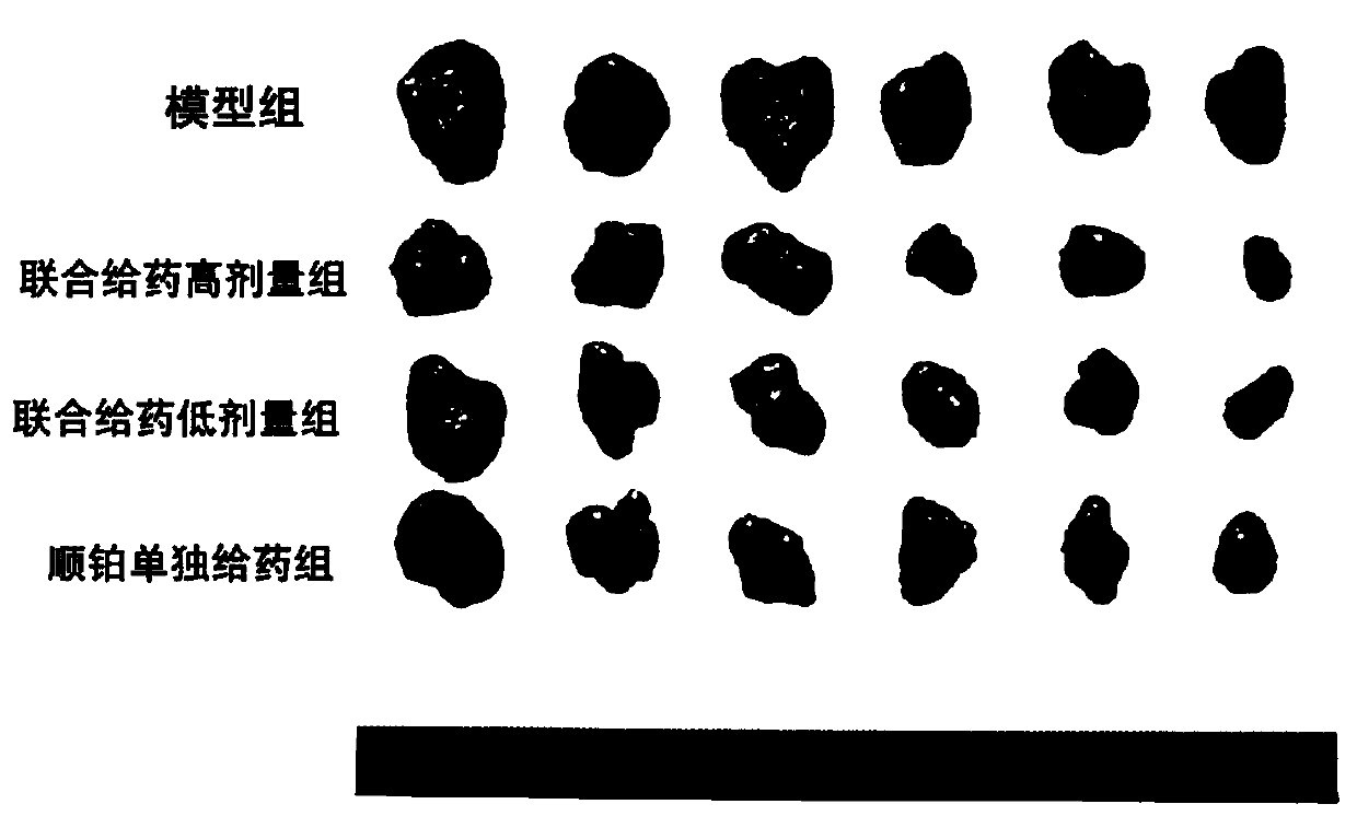 Application of astragalus mongholicus and flavone extract in preparation of chemotherapy drugs for laryngocarcinoma