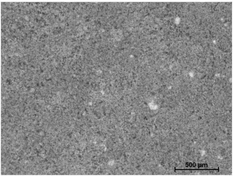 Magnetorheological polishing adhesive and preparation method thereof